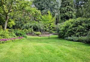 Optimiser l'expérience du jardin à Haucourt