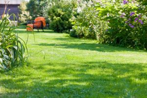 travaux jardin et paysage Haucourt